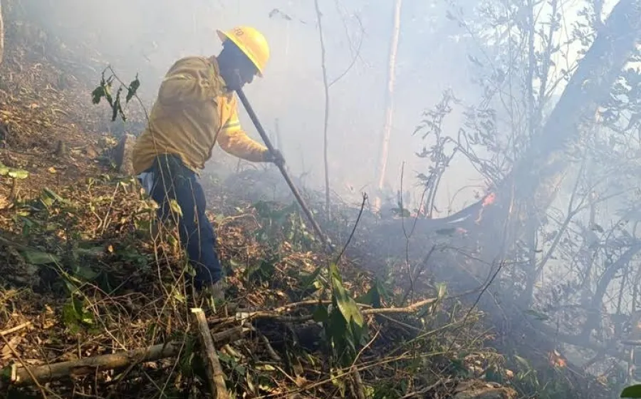Controla Coesfo incendio forestal en Santiago Jocotepec