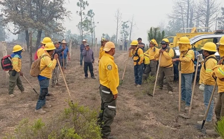 Más de 2 mil hectáreas afectadas por 46 incendios durante mayo: Coesfo