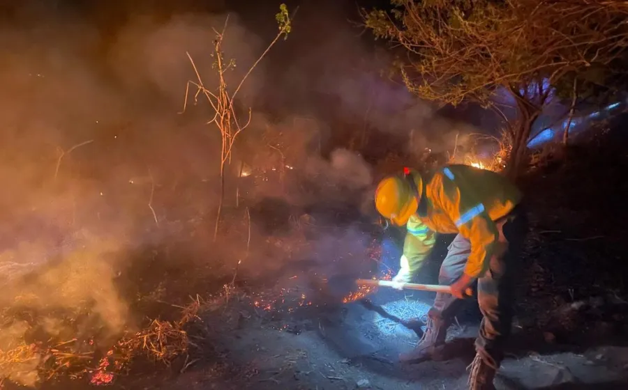 Reporta Coesfo control de dos incendios forestales en Santiago Pinotepa Nacional