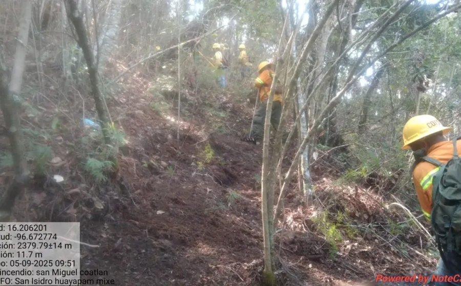 Reporta Coesfo control de incendio forestal en San Miguel Coatlán