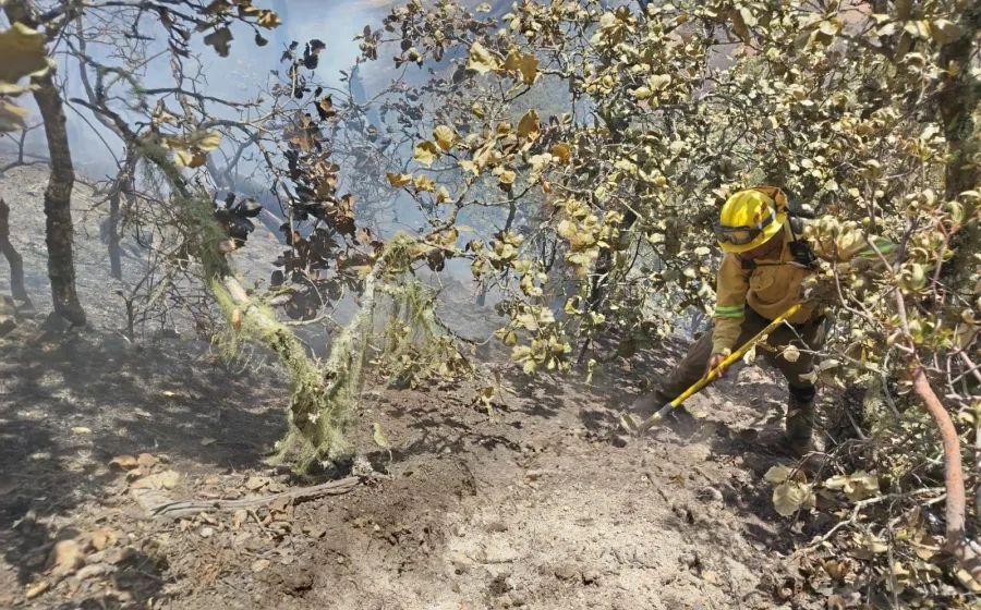 Controla Coesfo incendio forestal en San Lorenzo Albarradas