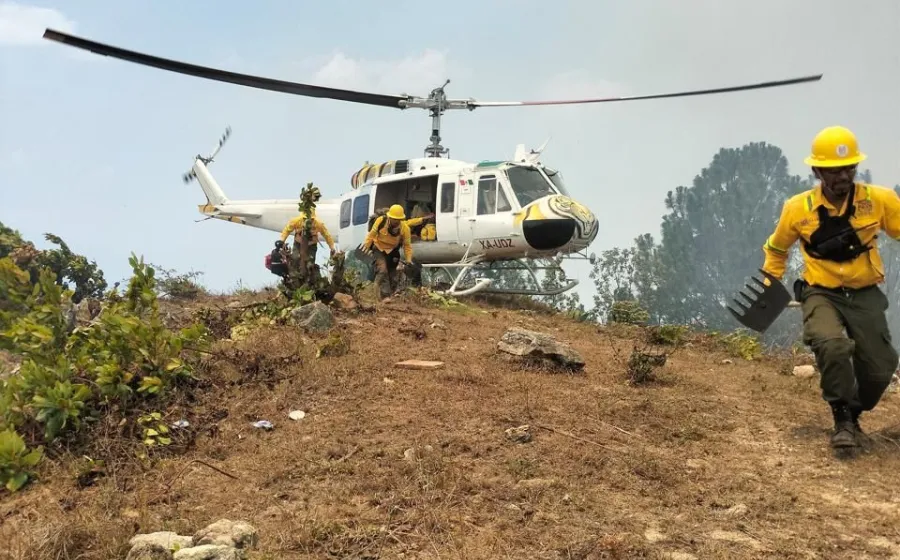 Controla Coesfo incendio forestal en San Francisco Ixpantepec