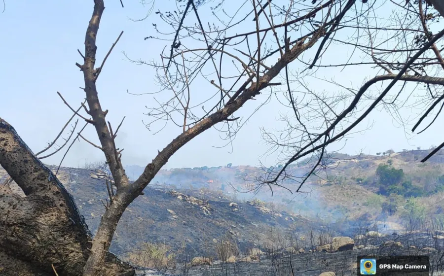 Atiende Coesfo incendio forestal en Santiago Pinotepa Nacional