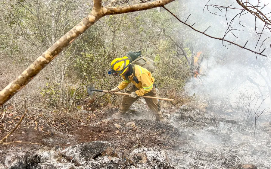 Liquida Coesfo incendios forestales en Santa María Tonameca y Santiago Tilantongo