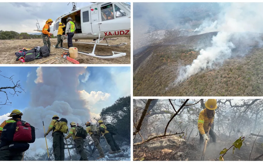 Reporta Coesfo 70% de control en incendio forestal de Tepelmeme Villa de Morelos