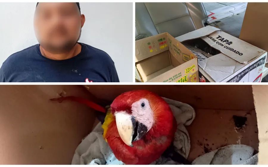 Policía Municipal detiene a una persona por el presunto delito contra al ambiente y la gestión ambiental
