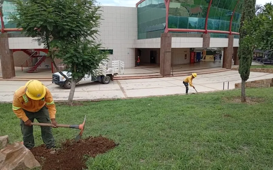 Inicia Coesfo acciones de Reforesta Oaxaca en Ciudad Judicial