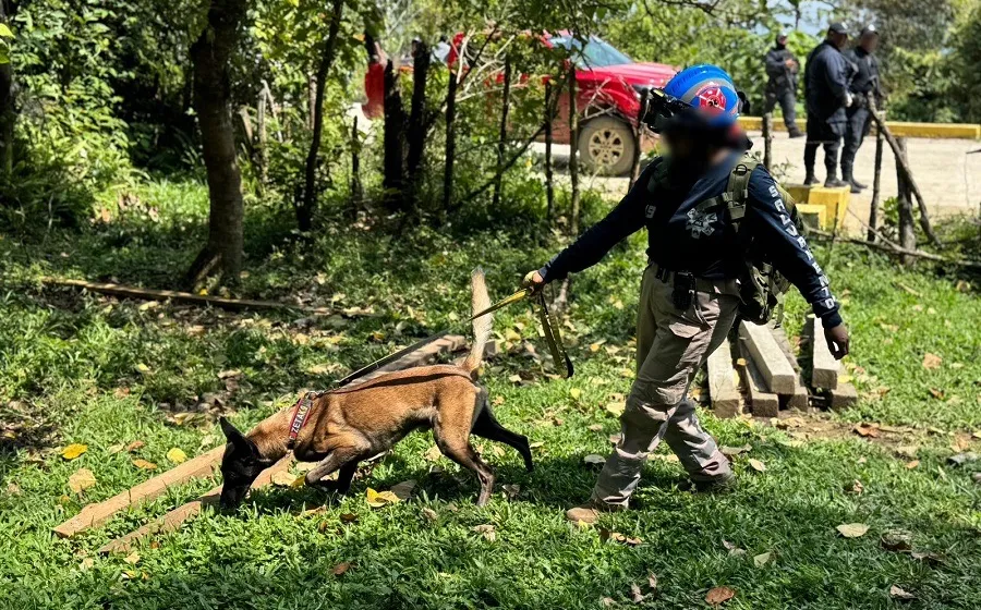 Con tres binomios caninos, CLB intensifica acciones para localizar a menor de la sierra mixe