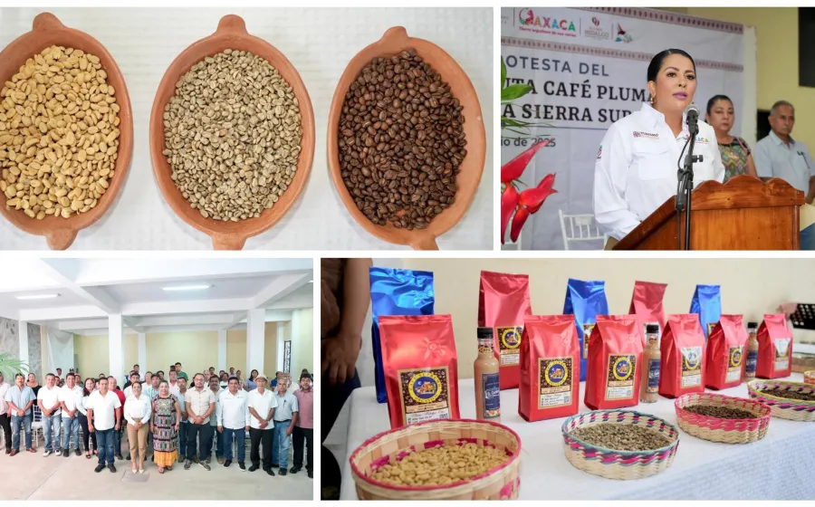Coordina Sectur Oaxaca esfuerzos para impulsar la Ruta del Café Pluma Aromas de la Sierra Sur