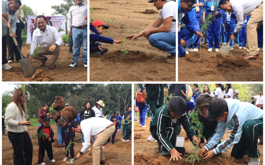 Inicia el IEEPO programa “Reforesta Oaxaca” en escuelas de educación básica