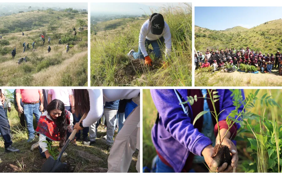 Xoxocotlán suma esfuerzos para sembrar vida en Mega Tequio de Reforestación
