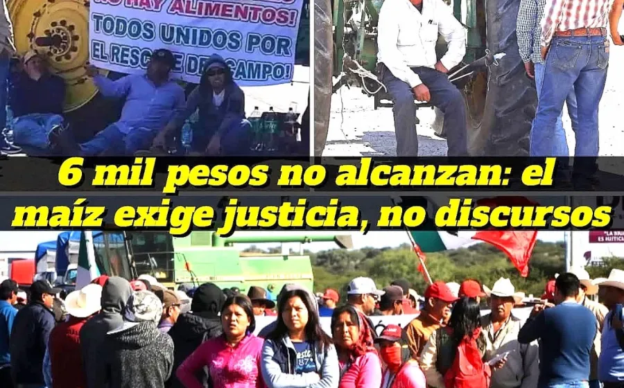 Sin maíz no hay país