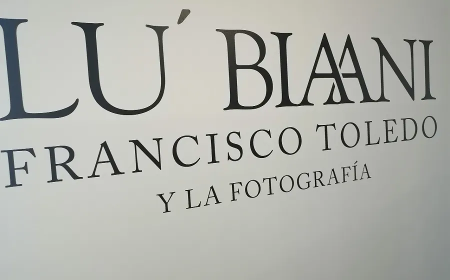 exposición en Xoxocotlán