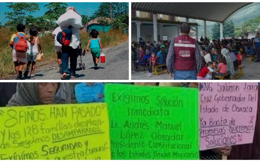 Expolición / Numeralia escalofriante (O la punta del iceberg) / Amado Sanmartín Hernández