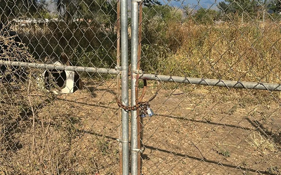 Amplían investigación por posible maltrato animal en predio de Tlalixtac
