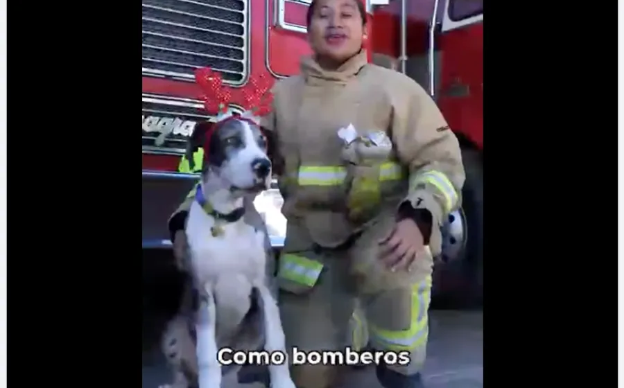 Llama SSPC a evitar el uso de pirotecnia en estas fiestas decembrinas