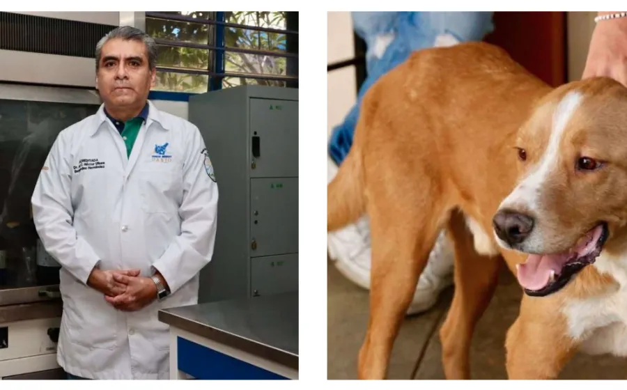 Fuegos artificiales, importante el manejo adecuado y reducir emisiones contaminantes