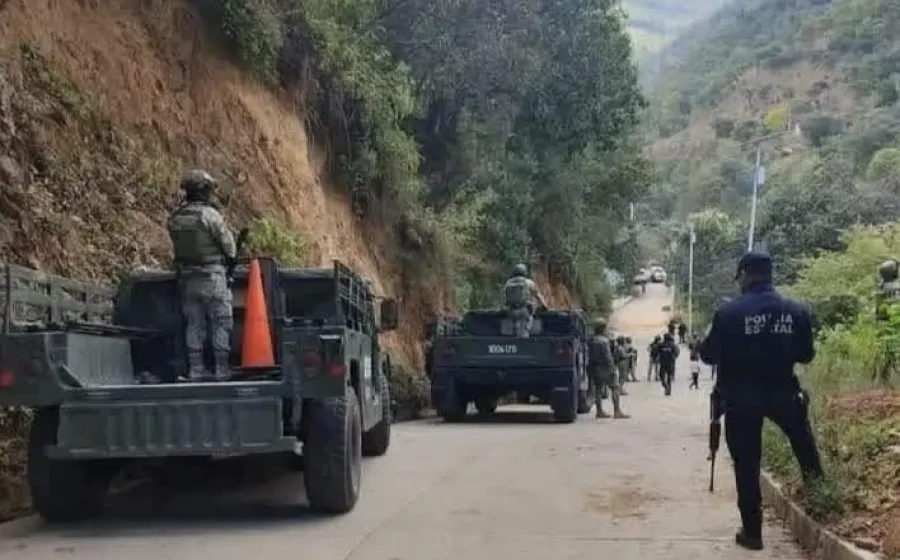 Hallan dos cuerpos sin vida, uno de ellos fue devorado por los perros 