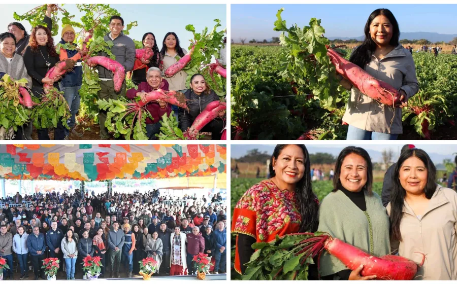 Tania Caballero destaca la tradición oaxaqueña de la Noche de Rábanos