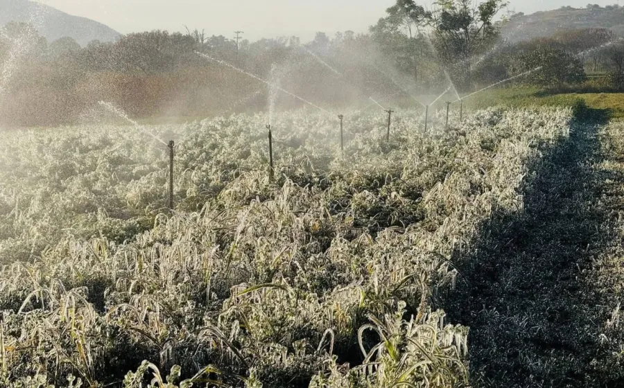 Se registran heladas en comunidades de los Valles Centrales 