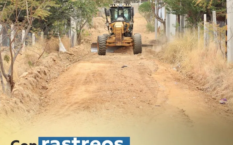 Acciones de rastreo benefician a productores de Xoxocotlán