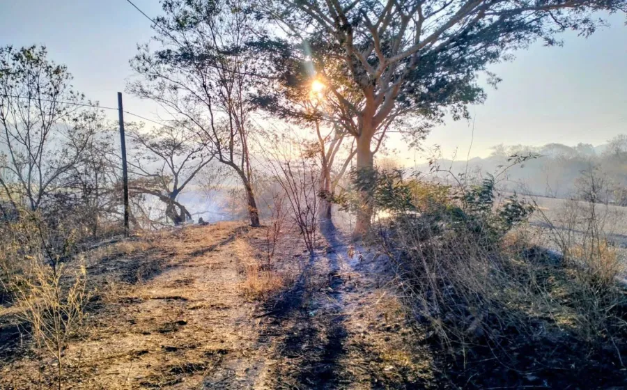 Atienden incendios en Santiago Astata 