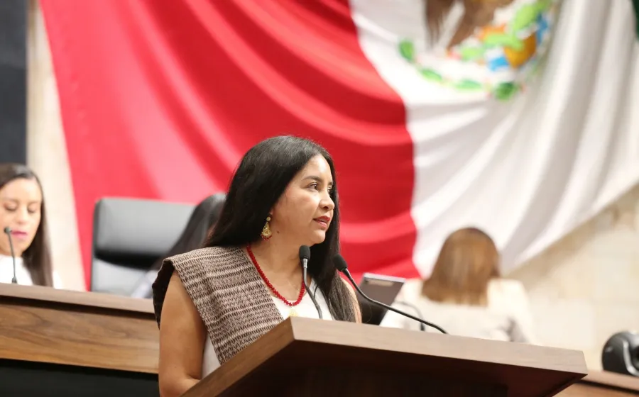 Diputada Elisa Zepeda presenta iniciativa para tipificar la tentativa de feminicidio en Oaxaca