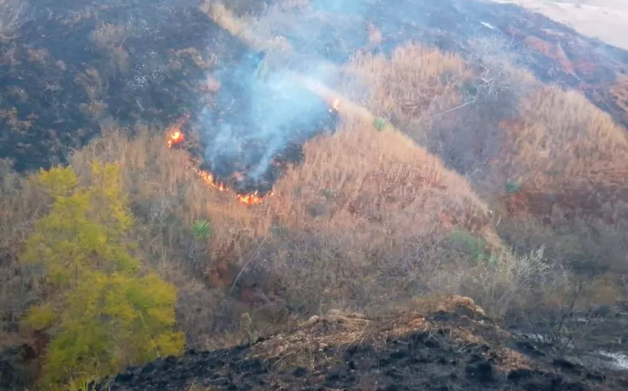 Liquida Coesfo incendio de pastizal en Zimatlán de Álvarez