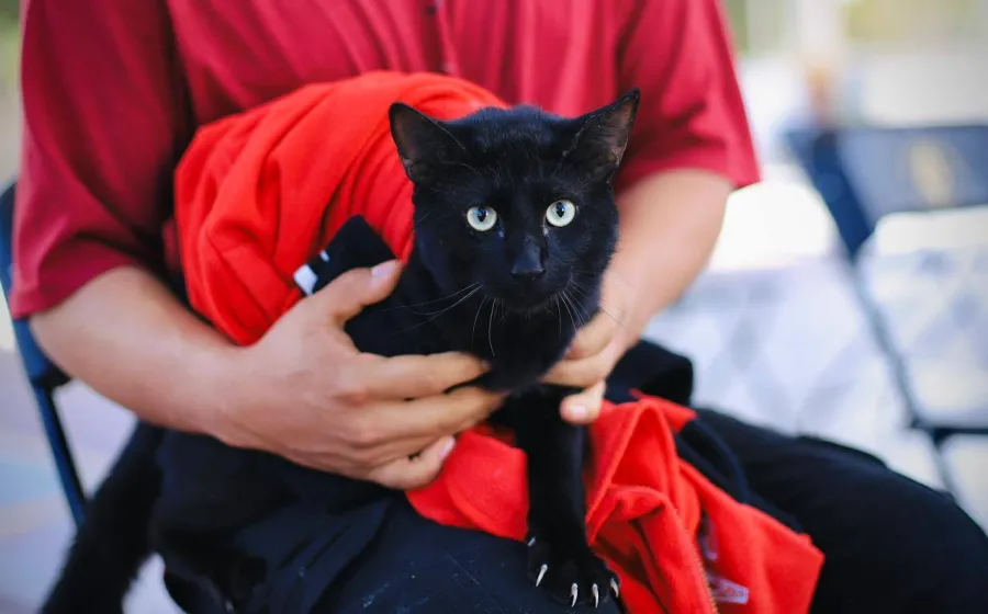 Por la salud de nuestras mascotas, arranca vacunación antirrábica gratuita en Xoxocotlán