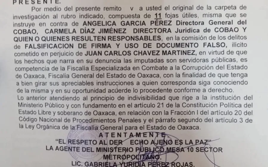 Piden acción penal contra directora general del COBAO 