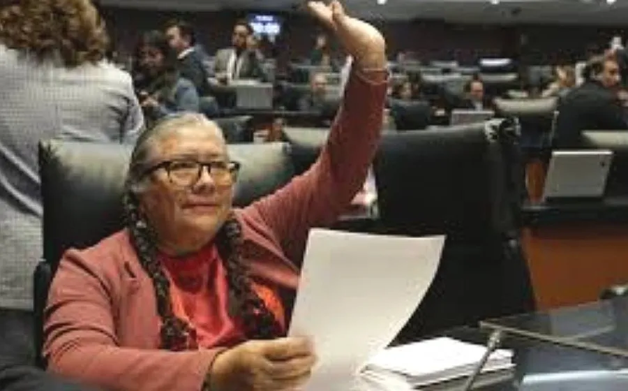 Queda Morena Oaxaca en manos de la senadora Luisa Cortés