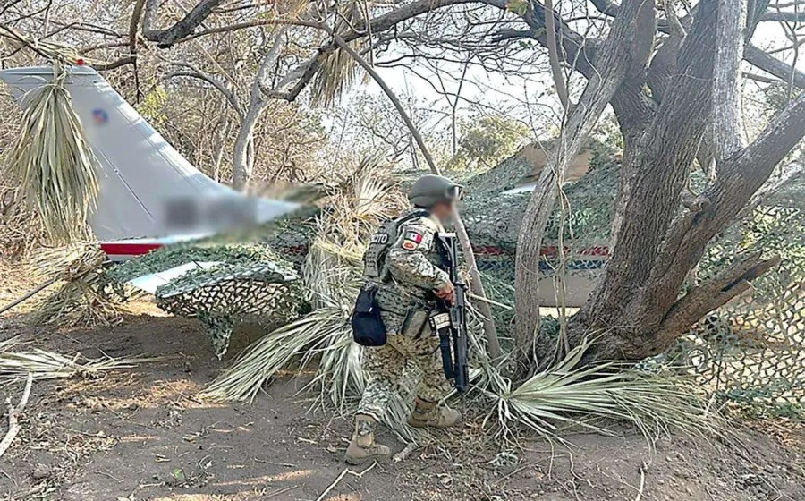 Aseguran avioneta con más de media tonelada de cocaína en Oaxaca