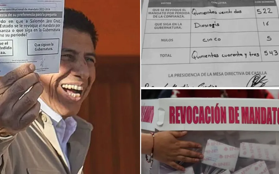 DE PARADOJAS Y UTOPÍAS / Revocación: Un recuento de daños / RAÚL NATHÁN PÉREZ