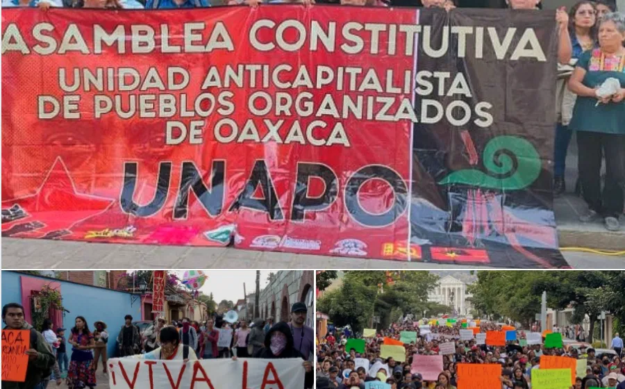 Expolición / Reorganización - De la sociedad civil  / Amado Sanmartín Hernández