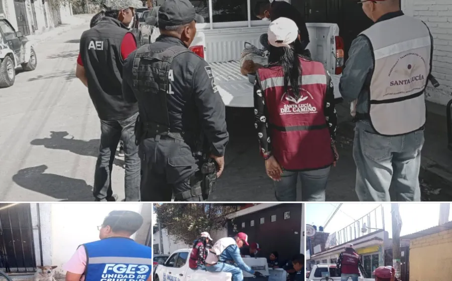 Acción coordinada permite rescate y atención médica de perrito abandonado en Santa Lucía del Camino