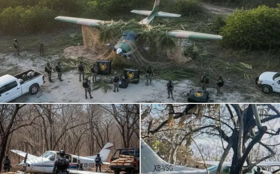 Inteligencia de EU y México logran histórico decomiso cerca de Juchitán: 534 paquetes de droga asegurados