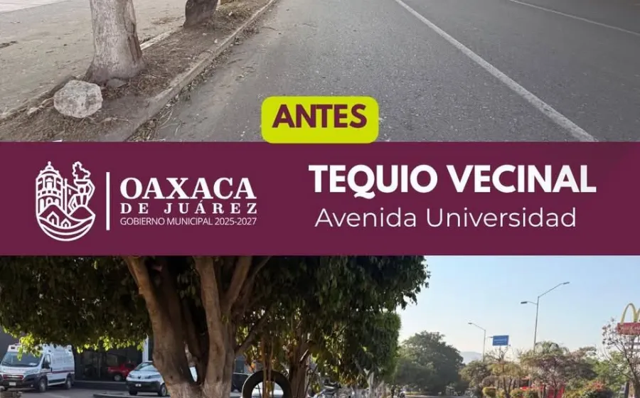 Trabajo que se ve: vecinas y vecinos realizan Tequio Vecinal en Avenida Universidad