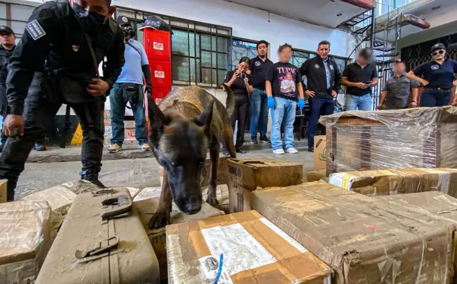Operativo simultáneo en paqueterías de Oaxaca permite detectar envío de drogas, armas y cartuchos
