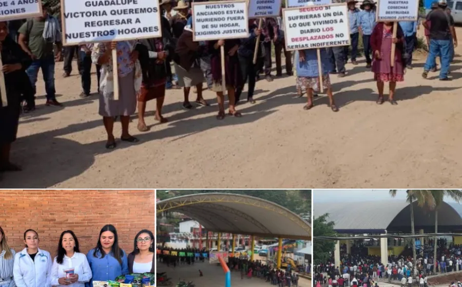 Expolición / No son las mismas llamas / Amado Sanmartín Hernández