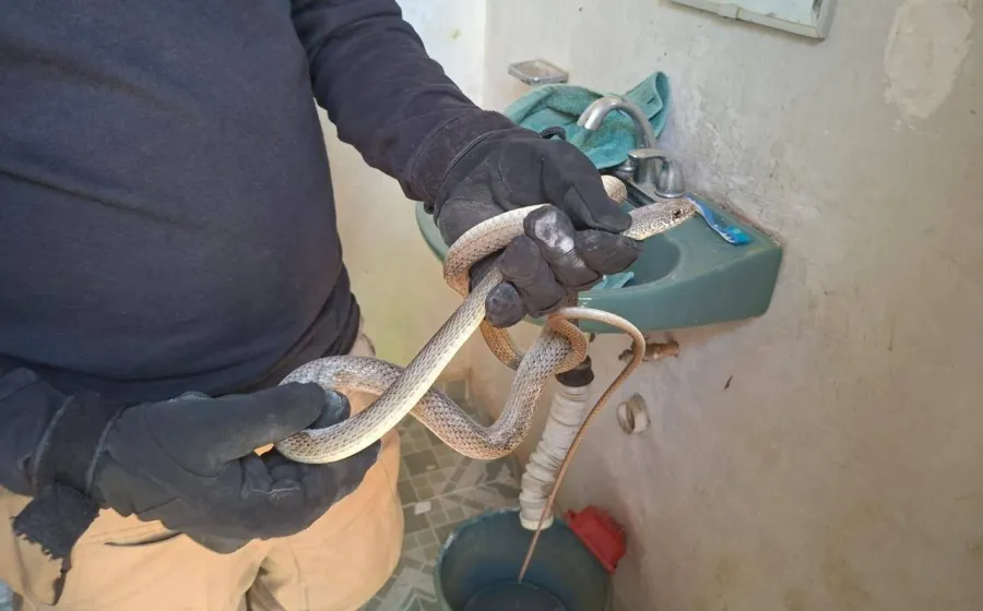 Xoxocotlán: Protección Civil responde con más de 100 servicios durante vacaciones