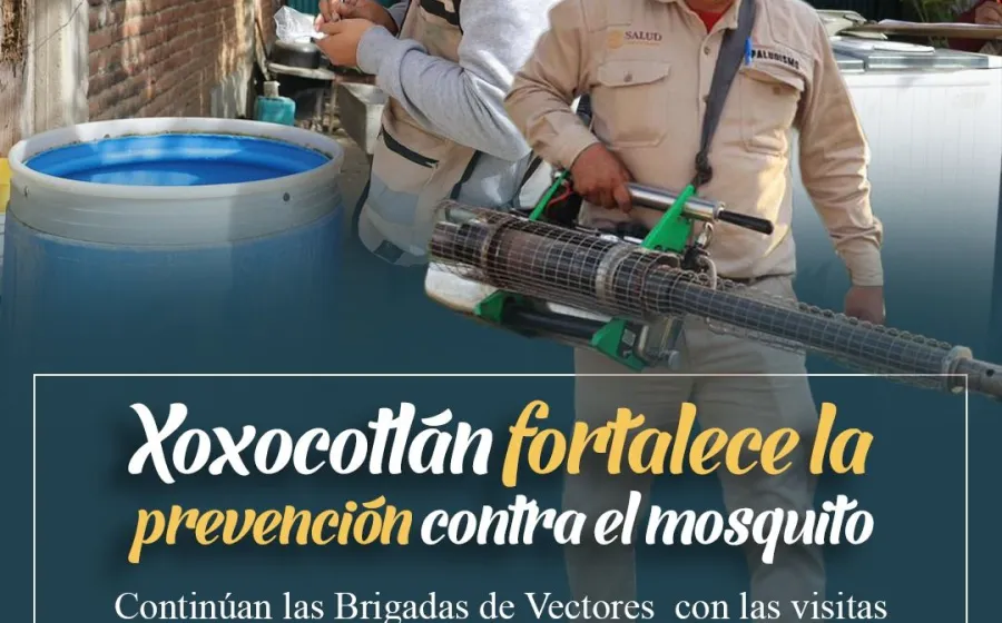 Sin tregua contra el Dengue en Xoxocotlán