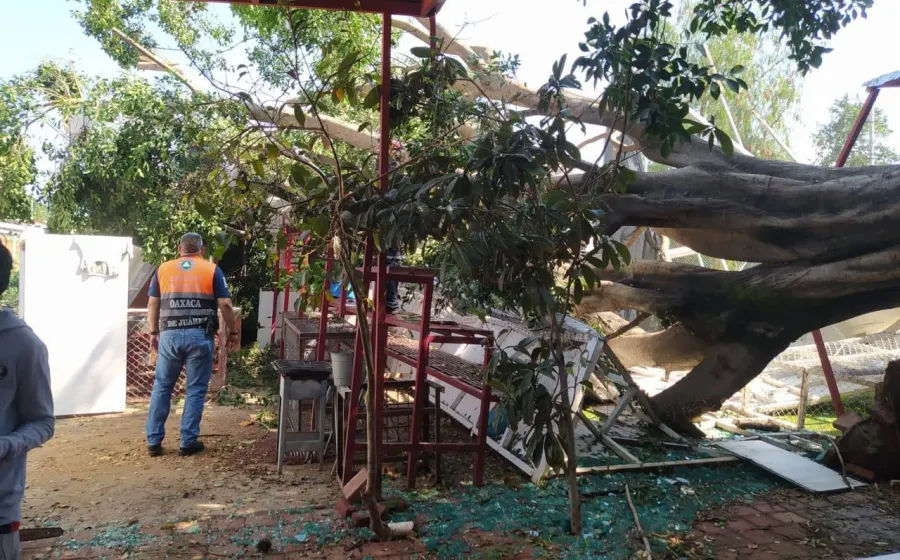 Continúan trabajos de atención y monitoreo en Oaxaca de Juárez tras lluvias