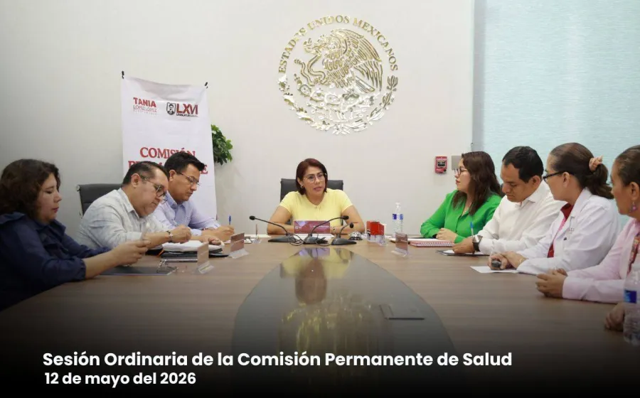 Recibe Comisión Permanente de Salud de la LXVI Legislatura el Plan Anual de Trabajo de la CEAMO