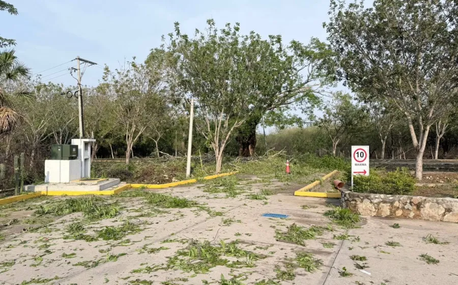 Gobierno de Oaxaca activa protocolo de atención tras tormenta registrada en San Francisco Ixhuatá