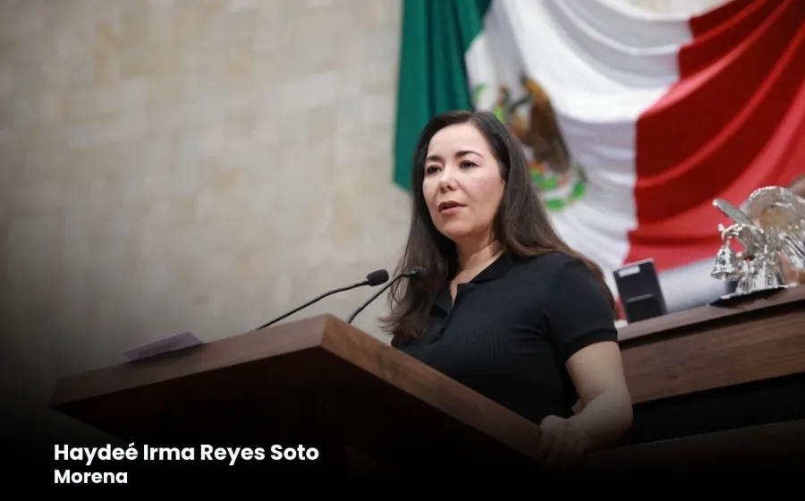 Presentan iniciativa para que municipios transparenten gastos, rutas de transporte y Atlas de Riesgos