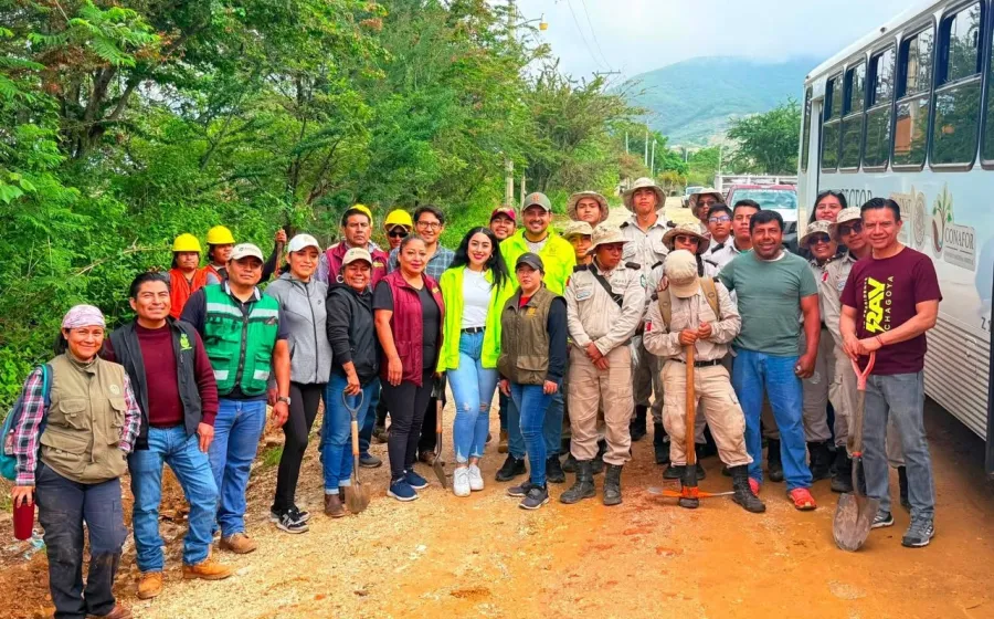 Reforestan en San Luis Beltrán por el Día Mundial del Medio Ambiente