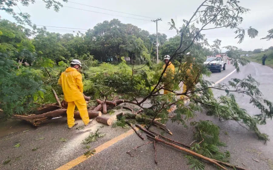  Protección Civil Juchitán responde a reportes ciudadanos y realiza acciones preventivas en diferentes sectores