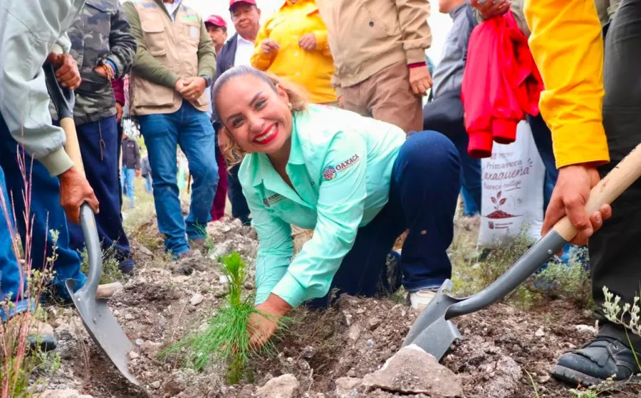 Llevan Mega Tequio de Reforestación en Villa Tejupan de la Unión