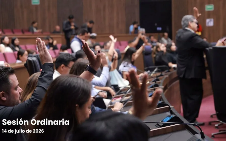 Congreso de Oaxaca aprueba reforma para que municipios implementen programas de esterilización y adopción de animales en situación de calle