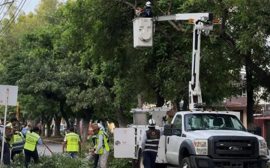 Mejor alumbrado y poda de árboles en calz. Tecnológico